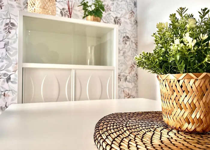 Apartamento Piso Centrico En