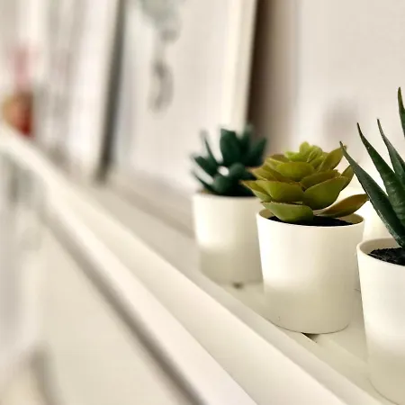 Piso Centrico En * トレモリノス